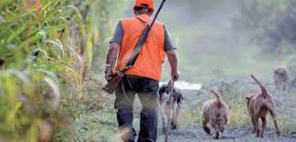 Safsaf (Mostaganem) -  Le braconnage menace les espèces protégées