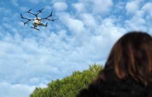 Planète (France) - Cannes: Des drones pour lutter contre les chenilles processionnaires