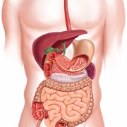 Cabinet de Gastro-Entérologie et de Médecine Interne - Dr Benkanoun