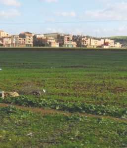 IL A REFUSÉ L’EXTENSION D’UNE USINE SUR UNE TERRE AGRICOLE:   Le DSA d’El-Tarf limogé