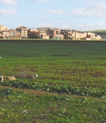 IL A REFUSÉ L’EXTENSION D’UNE USINE SUR UNE TERRE AGRICOLE:   Le DSA d’El-Tarf limogé