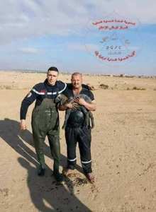 عون حماية مدنية بوحدة بباتنة يخاطر بحياته ويدخل في قناة لمياه الصرف الصحي من أجل إنقاذ خروف من الهلاك  ألف تحية له