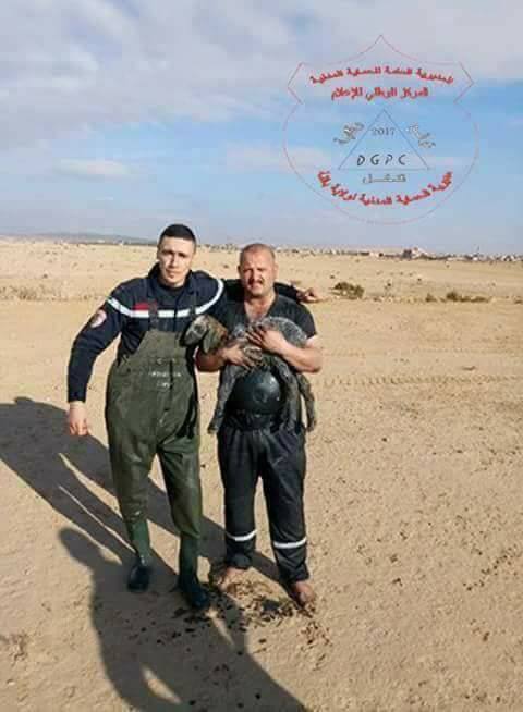 عون حماية مدنية بوحدة بباتنة يخاطر بحياته ويدخل في قناة لمياه الصرف الصحي من أجل إنقاذ خروف من الهلاك  ألف تحية له