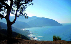 Une étoile polaire dans la carte des phares de la côte algérienne                                    Skikda, Cap Bougaroune à Collo