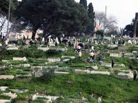 La Protection civile s'implique                                    Nettoiement des cimetières