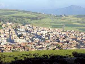 Skikda - Commune rurale de Sidi Mezghiche:  Une hirondelle dans le ciel skikdi