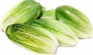 حالة وفاة بسبب الخسّ الملوث في كندا