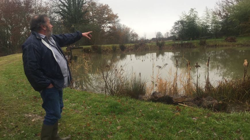 Planète (France) - Affaire des grenouilles de Grignols: le couple définitivement condamné à reboucher la mare