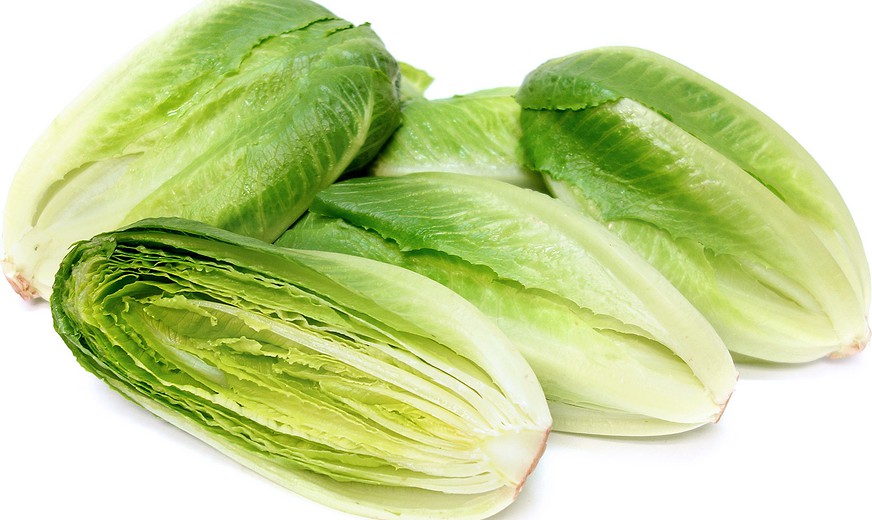 حالة وفاة بسبب الخسّ الملوث في كندا