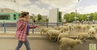 Planète - CES FRANÇAIS QUI CHANGENT DE VIE POUR DEVENIR NÉO-PAYSANS (VIDÉO)