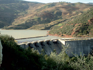 En dépit des dernières pluies enregistrées à Skikda les quatre barrages remplis à 35 % en moyenne