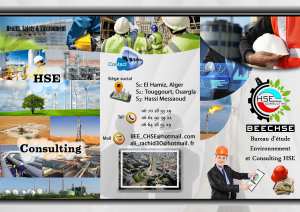 HSE SERVICES AND CONSULTING
