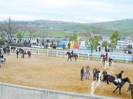 Club hippique de Constantine:  Des adhérents menacés d’expulsion