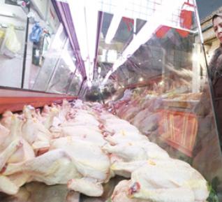 Les viandes blanches disponibles durant le mois de ramadhan selon Cifa : Les professionnels rassurent le consommateur