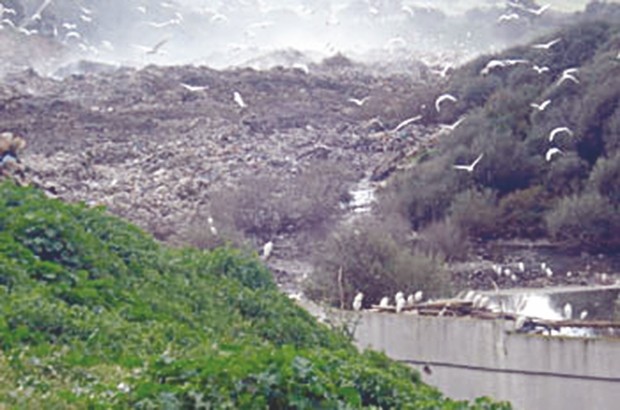 Le CET de Bouguerguer (Guelma) saturé:  5 communes pour la réception des déchets