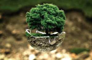 Découvrez à travers la Sounnah, de très belles références à l’écologie