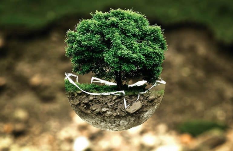 Découvrez à travers la Sounnah, de très belles références à l’écologie