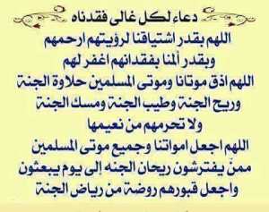 رحيل الدكتورة فافه نادية رحمها الله.