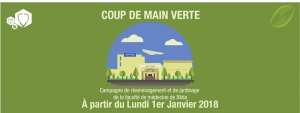 COUP De MAIN VERTE