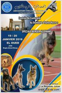 Contrôle De Conformité Au Standard (Toutes Races) Spécial Berger Allemand