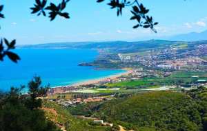 Into the Wild : Randonnée au mont chenoua