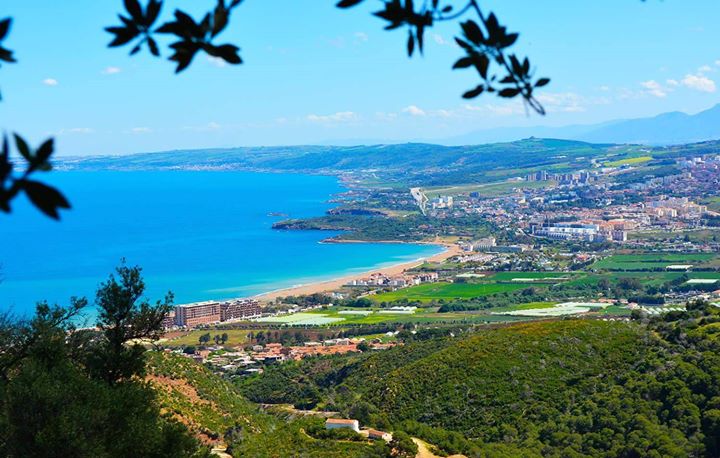 Into the Wild : Randonnée au mont chenoua