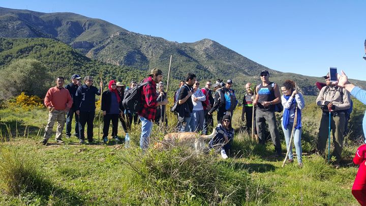 Into the Wild : Randonnée au mont chenoua
