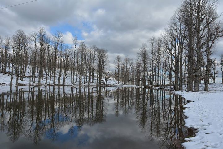 جولة رياضية على الأقدام إلى أعلى قمة في جيجل