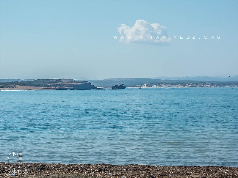 Skikda - des navires à la dérive