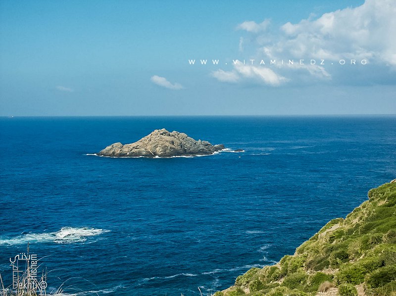 Îlot Tekedid  (Cap de Fer - wilaya de Skikda).