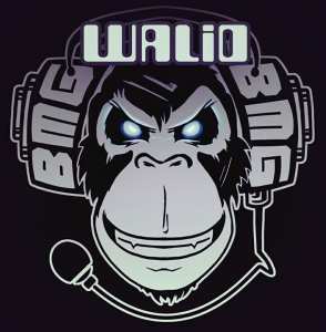 VIDEO  BOOOOM  SUJET .....