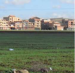 Terres agricoles rongées par le béton à Bordj Bou Arréridj: L’UNPA tire la sonnette d’alarme