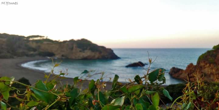 A La Découverte de Gouraya