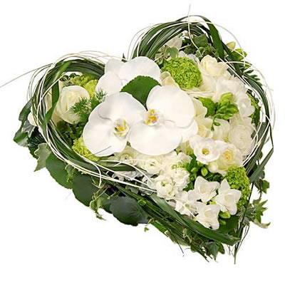 dédié à ma mère, et à toutes les mères.