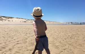 Planète - 2015, 2016 et 2017 sont les années les plus chaudes jamais enregistrées