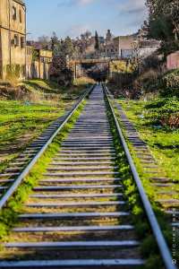 بعد ارتفاع عدد حوادث القطارات بالجهة الغربية لجنة وزارية تحقق في مشاريع تهيئة السكة الحديدية