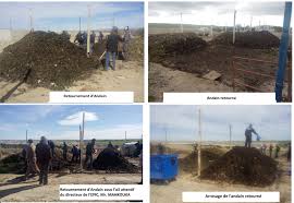 Sidi Bel Abbès -  Un projet algéro-belge dédié au compostage des déchets