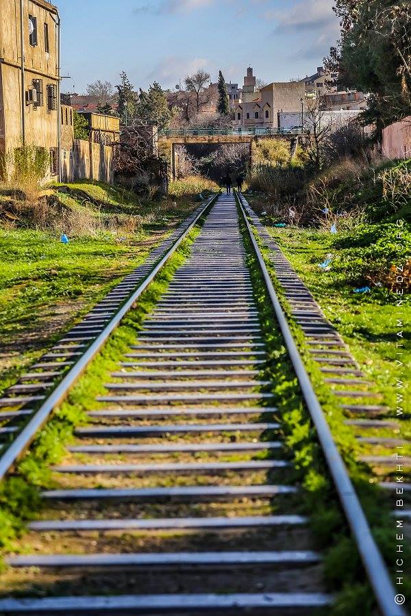 بعد ارتفاع عدد حوادث القطارات بالجهة الغربية لجنة وزارية تحقق في مشاريع تهيئة السكة الحديدية