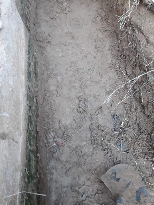 31 جانفي 2018 آخر اجل لانتهاء ( العملة )