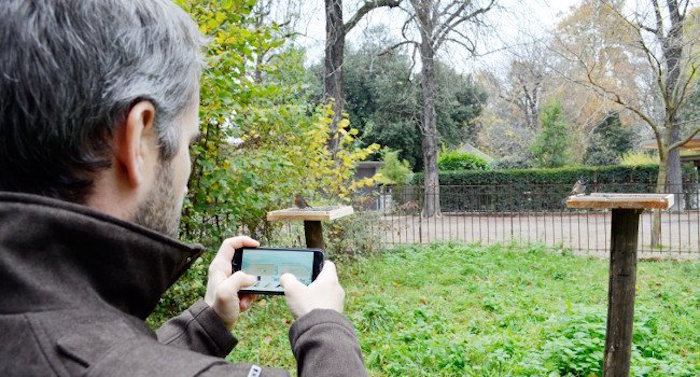Planète - France: Comptage national des oiseaux des jardins