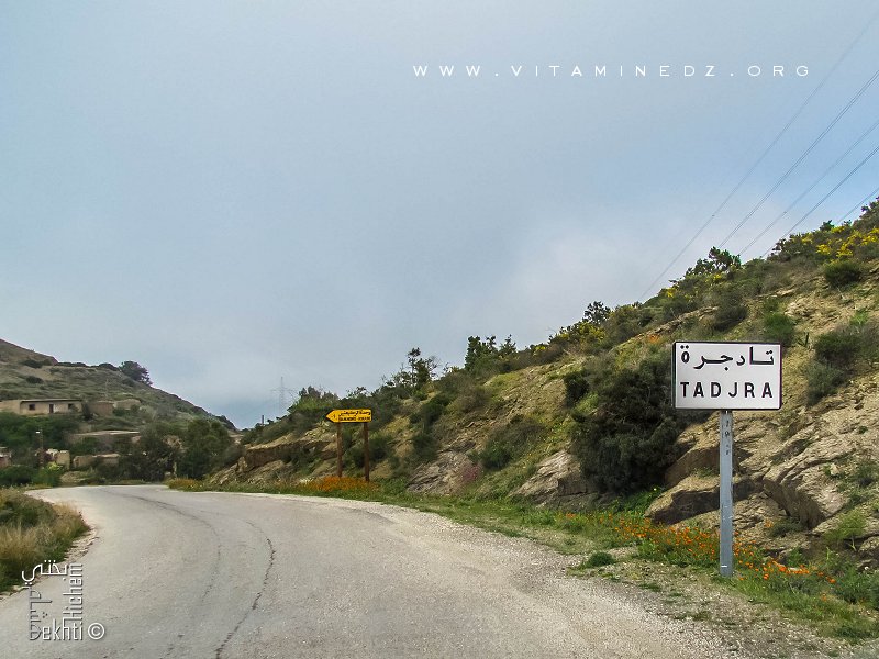 Abdelmoumène le conquérant