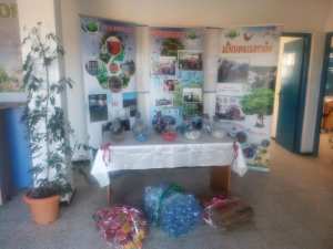 Journée sur le tri et la valorisation des déchets