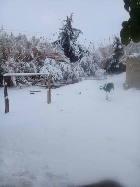 Découvrez la neige dans les hauteurs de Tlemcen