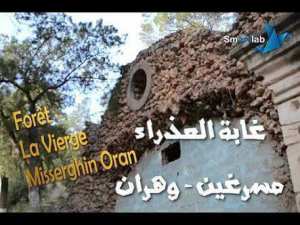 Randonnée Pédestre Forêt De La Vierge