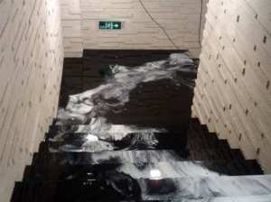 افتتاح الدورة