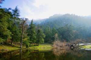 Sortie Parc National Theniet el Had & Cherea