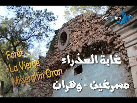 Randonnée Pédestre Forêt De La Vierge