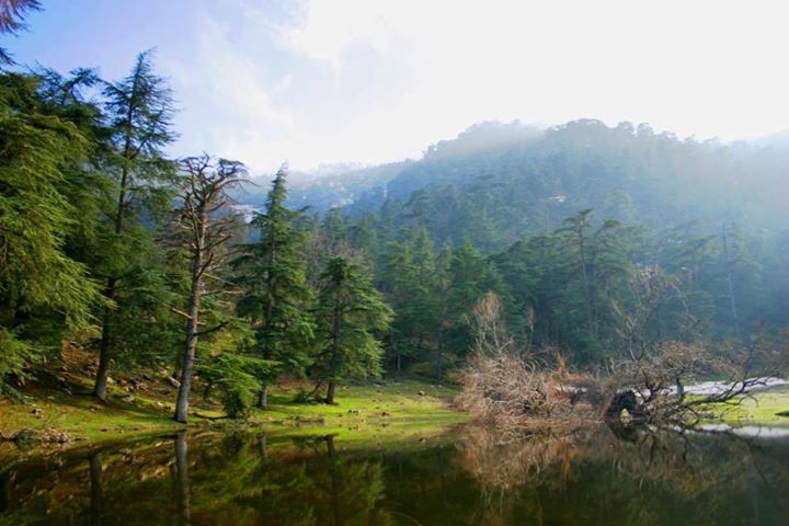 Sortie Parc National Theniet el Had & Cherea