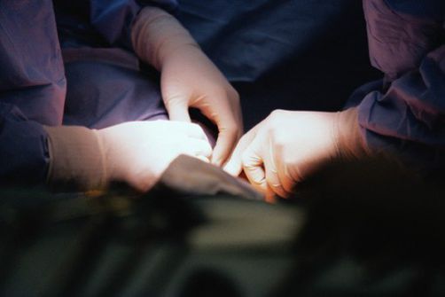 CHU de Tlemcen : 4 nouvelles greffes rénales réalisées depuis le début de l’année