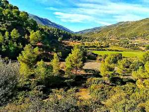 Dz hikers : randonnée vers la Mitidja barrage bouroumi
